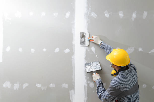 Best Mold Removal for HVAC Installations  in Wanatah, IN