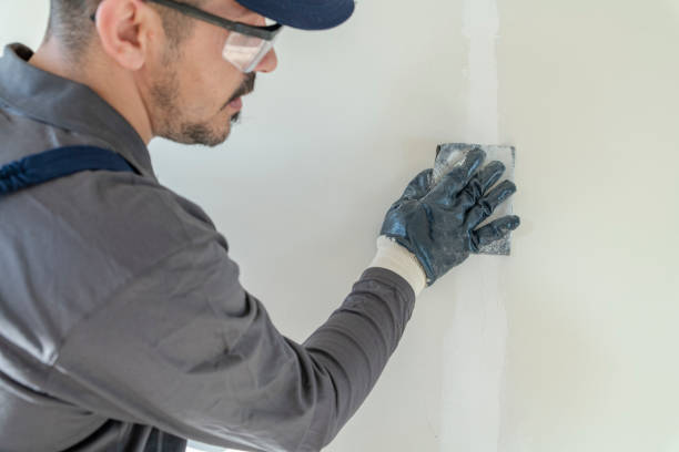 Best Post-Remediation Verification Testing  in Wanatah, IN