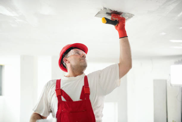 Best Emergency Mold Remediation  in Wanatah, IN