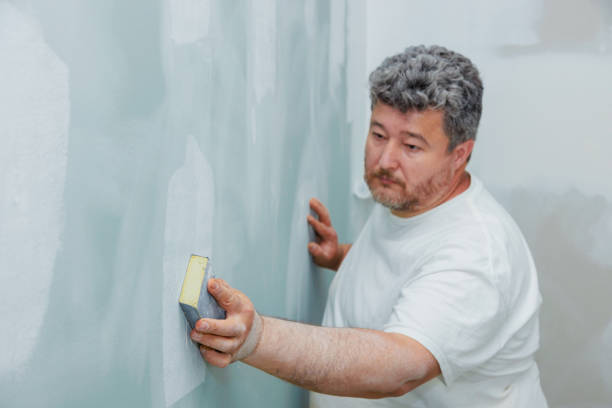 Best Post-Construction Mold Inspection  in Wanatah, IN
