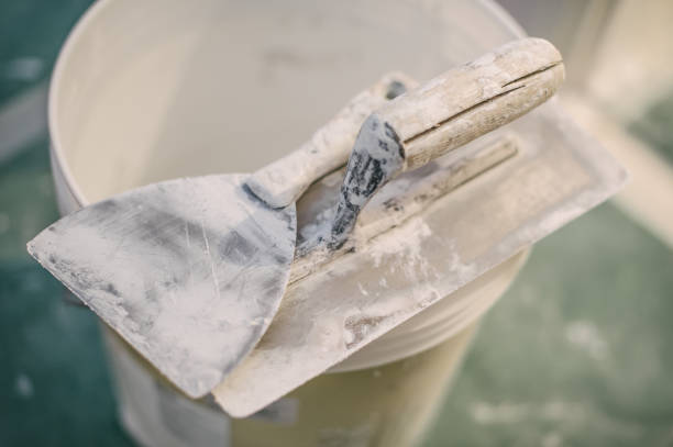 Best Mold Remediation for Healthcare Facilities  in Wanatah, IN