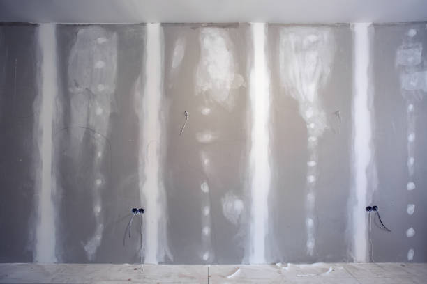Best Environmental Consulting for Mold Prevention  in Wanatah, IN